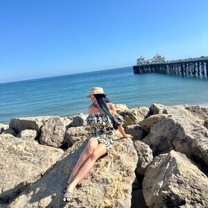 Anthropologie - The Wolf Gang Mirador Linen Mini Dress - Size M